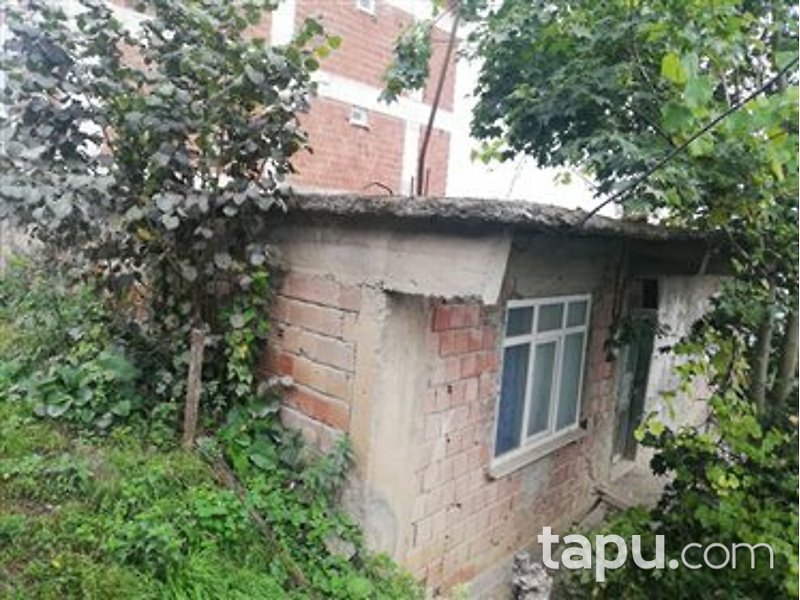 Ordu Gürgentepe Tikenlice Mahallesi'nde Kagir Ev ve Fındık Bahçesi