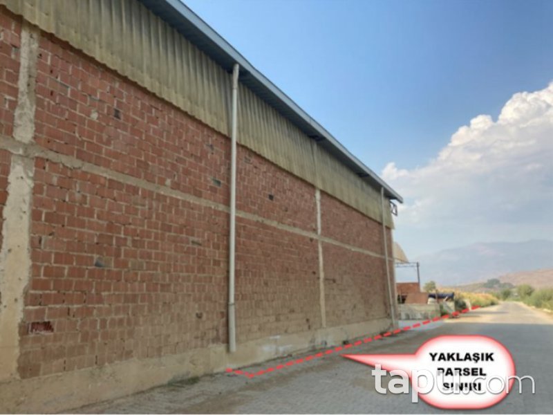 İzmir Ödemiş Ertuğrul Mahallesi'nde 8247 m2 Tavuk Çiftliği ve Arsası