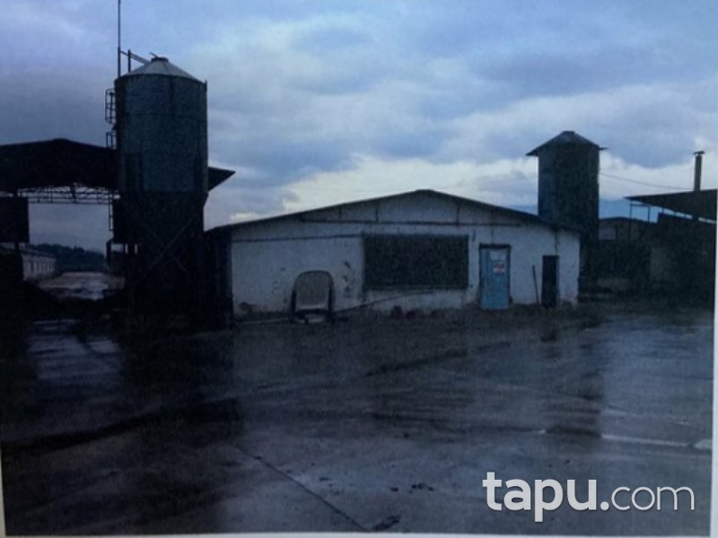 İzmir Ödemiş Ertuğrul Mahallesi'nde 8247 m2 Tavuk Çiftliği ve Arsası