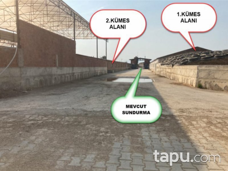 İzmir Ödemiş Ertuğrul Mahallesi'nde 8247 m2 Tavuk Çiftliği ve Arsası