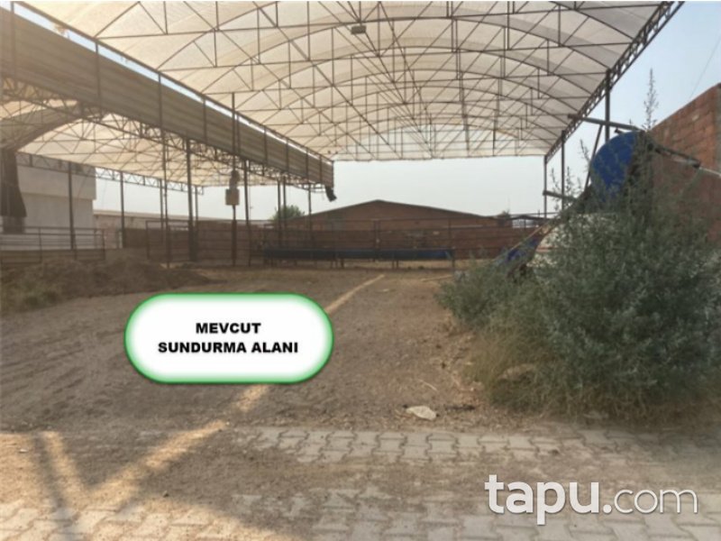 İzmir Ödemiş Ertuğrul Mahallesi'nde 8247 m2 Tavuk Çiftliği ve Arsası