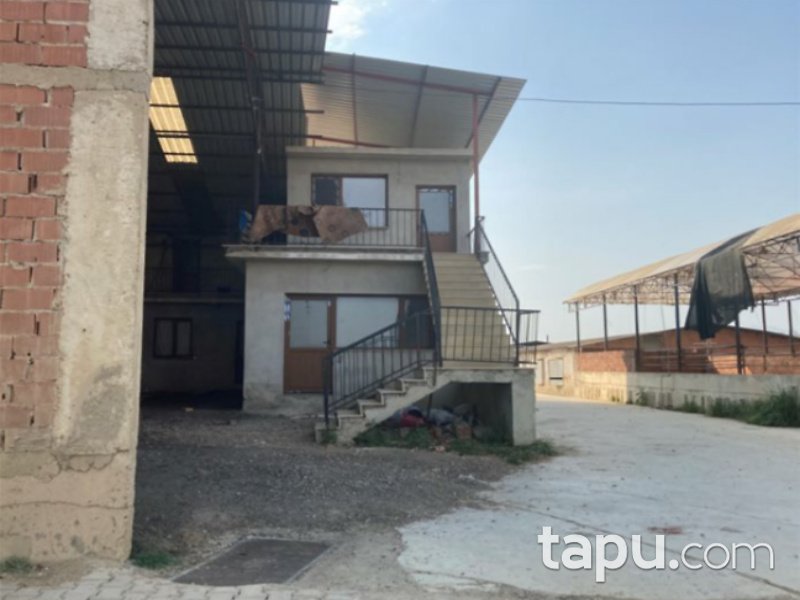 İzmir Ödemiş Ertuğrul Mahallesi'nde 8247 m2 Tavuk Çiftliği ve Arsası