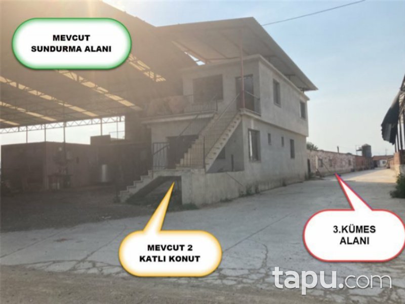 İzmir Ödemiş Ertuğrul Mahallesi'nde 8247 m2 Tavuk Çiftliği ve Arsası