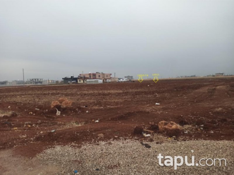 Mardin Kızıltepe Koçhisar Mahallesi'nde 778 m2 Konut İmarlı Arsa