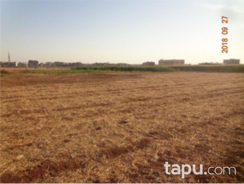 Mardin Kızıltepe Koçhisar Mahallesi'nde 778 m2 Konut İmarlı Arsa