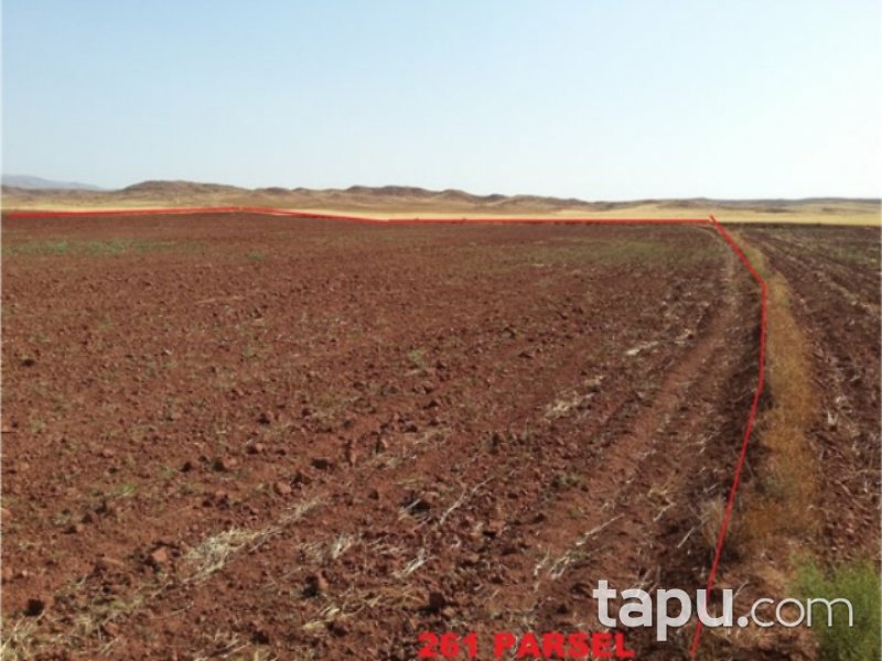 Yozgat Yerköy Yukarıihsangazili Mahallesi'nde 25800 m2 Tarla
