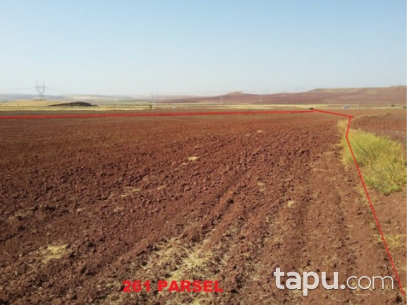 Yozgat Yerköy Yukarıihsangazili Mahallesi'nde 25800 m2 Tarla