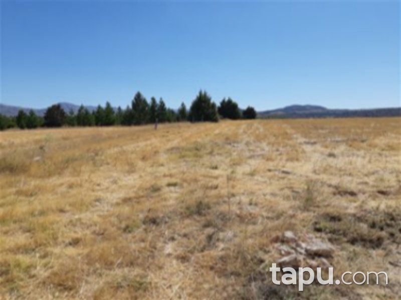 Karaman Merkez Damlapınar Mahallesi'nde 9300 m2