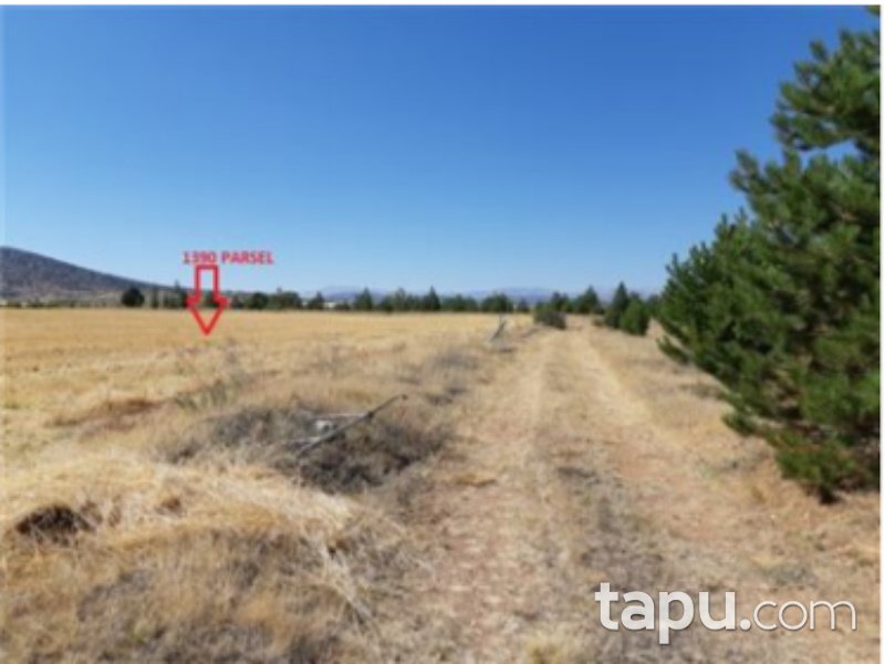 Karaman Merkez Damlapınar Mahallesi'nde 9300 m2