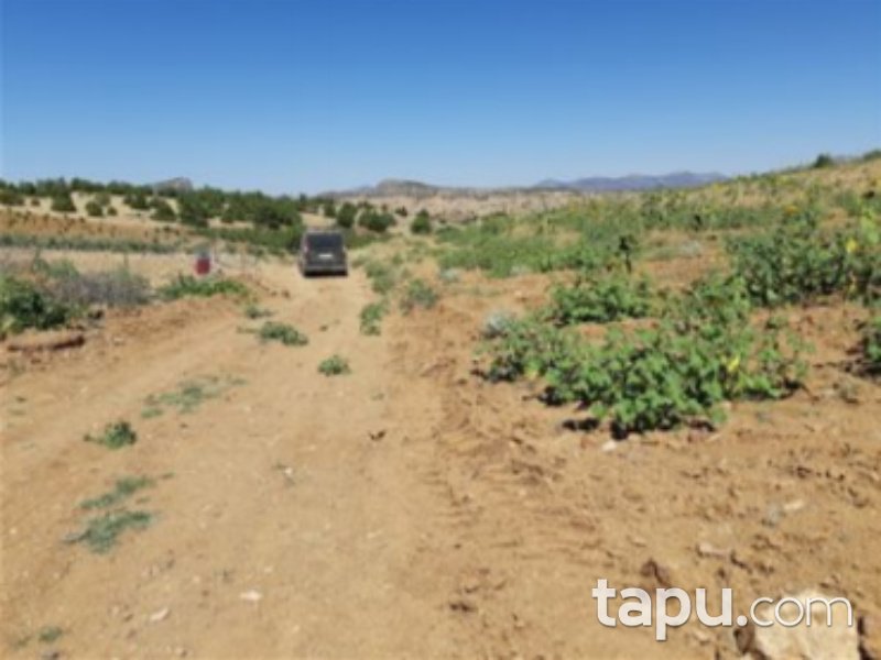 Karaman Merkez Damlapınar Mahallesi'nde 10125 m2 Bağ