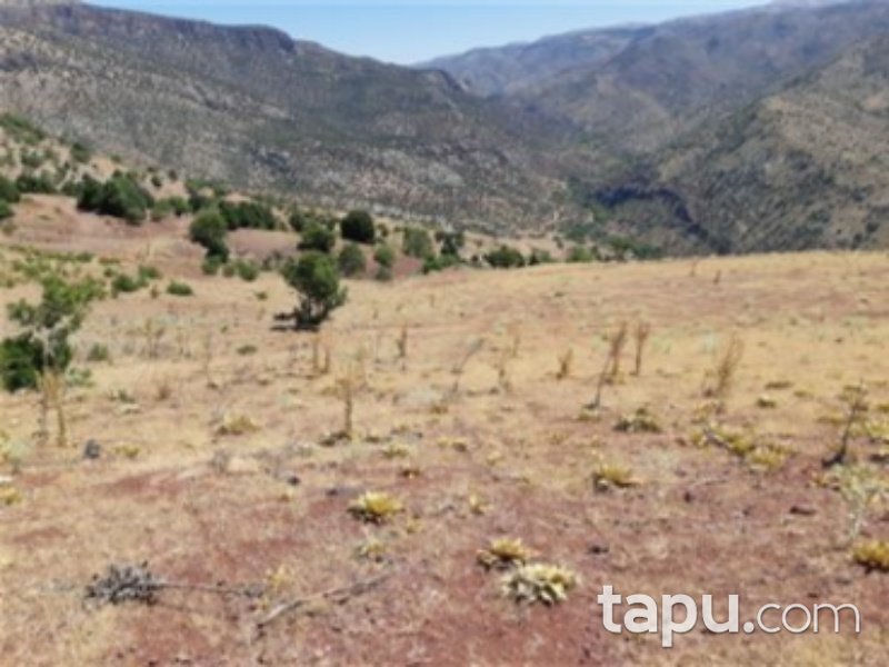 Karaman Merkez Damlapınar Mahallesi'nde 5300 m2 Bağ