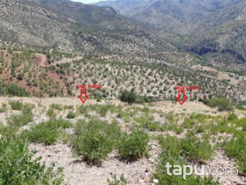 Karaman Merkez Damlapınar Mahallesi'nde 2200 m2 Bağ