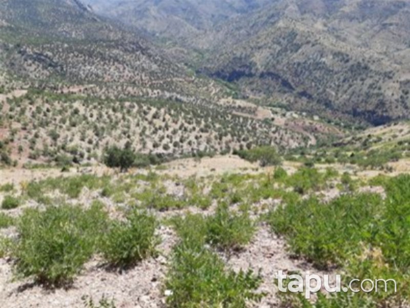 Karaman Merkez Damlapınar Mahallesi'nde 2500 m2 Bağ