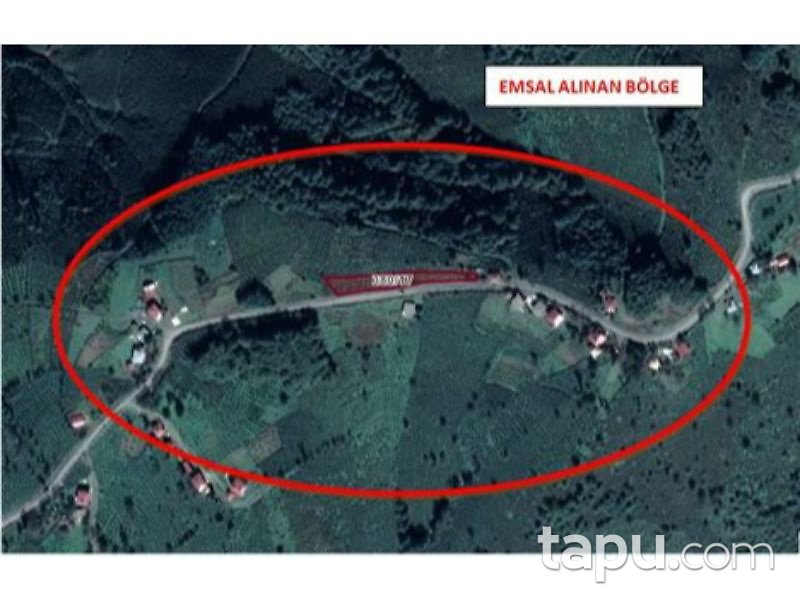 Ordu Gürgentepe İlçesi Akmescit Mahallesinde 1818 m2 Fındık Bahçesi