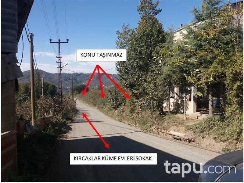 Ordu Gürgentepe İlçesi Akmescit Mahallesinde 1818 m2 Fındık Bahçesi