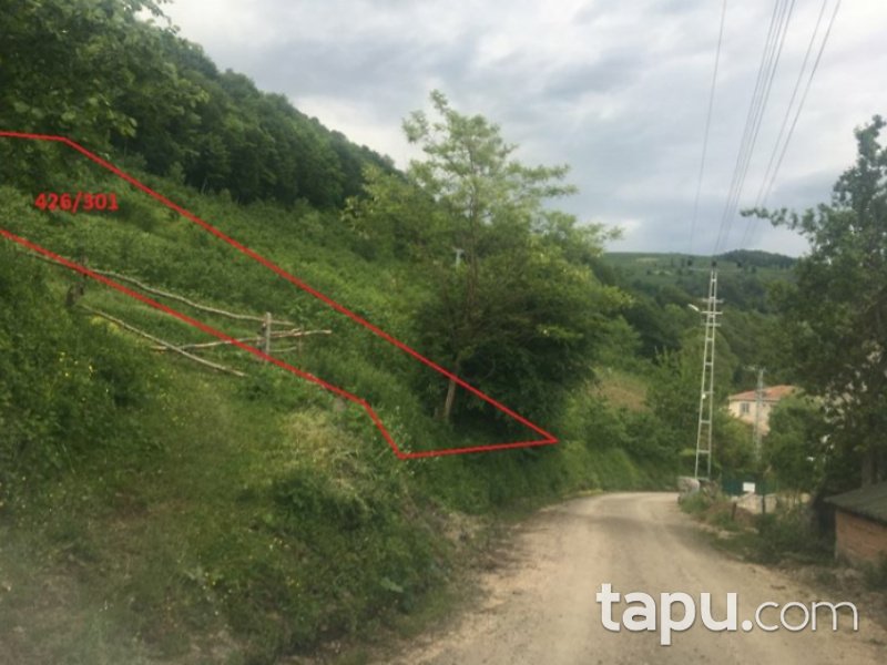 Ordu Kabataş Kayıncık Mahallesi'nde 1319 Tarla