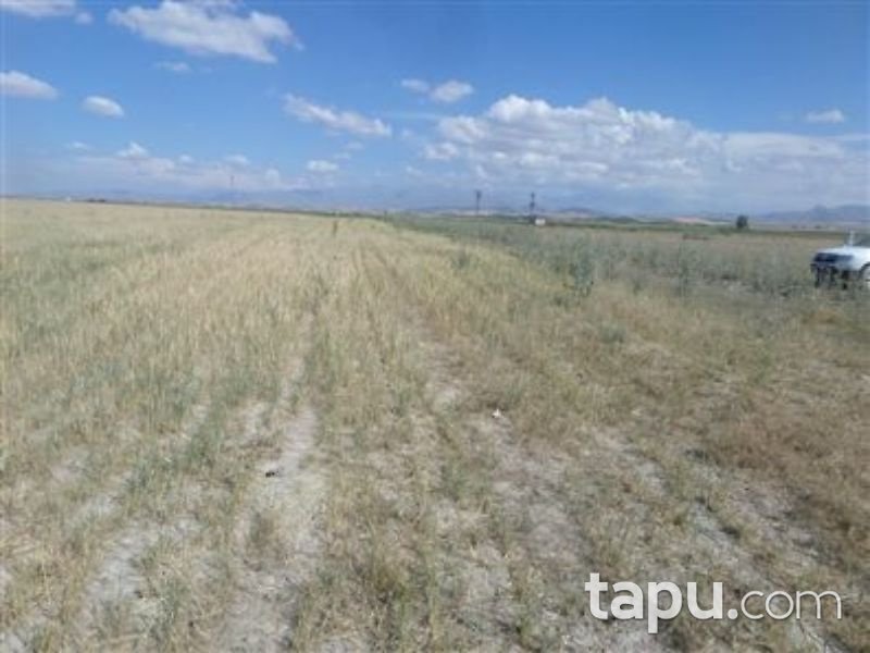 Niğde Merkez Konaklı Kasabası Çorak Mevkii'de 17 Dönüm Tarla