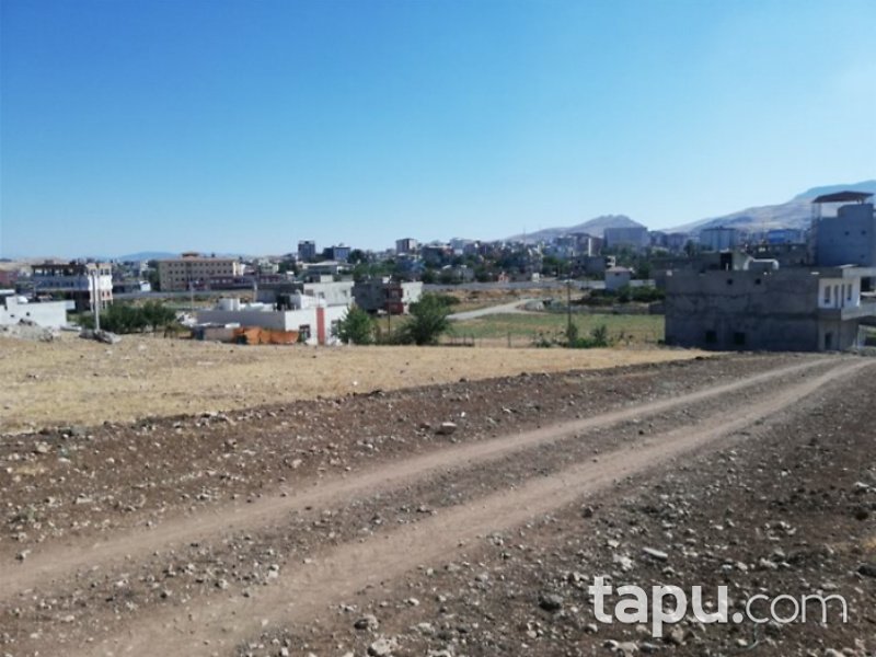 Siirt Kurtalan Sümer Mahallesi'nde 600 m2 İmarlı Arsa