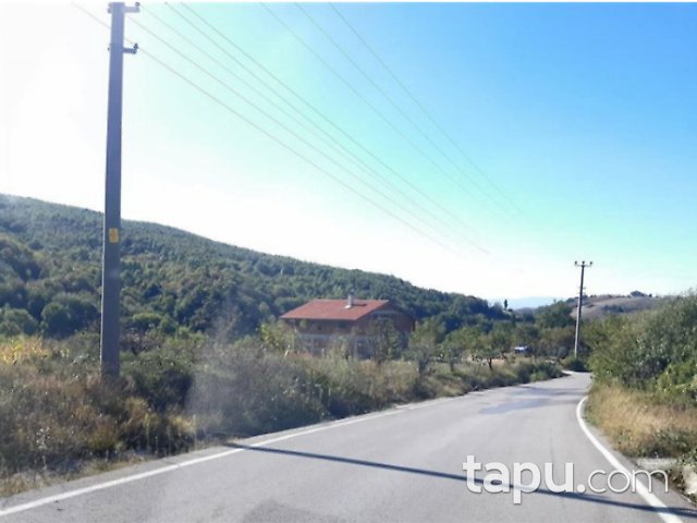 Kocaeli Karamürsel Pazarköy Mahallesi'nde Bağ ve Evi