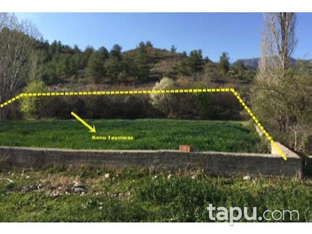 Bilecik Söğüt Akçasu Köyünde 3284 m2 Tarla