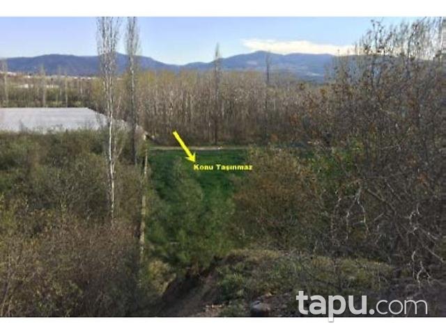 Bilecik Söğüt Akçasu Köyünde 3284 m2 Tarla