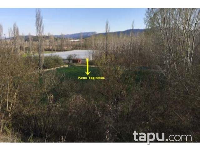 Bilecik Söğüt Akçasu Köyünde 3284 m2 Tarla