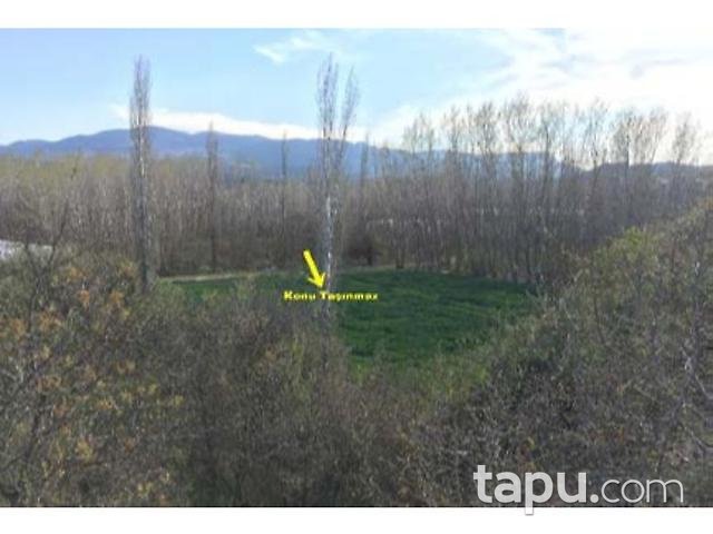Bilecik Söğüt Akçasu Köyünde 3284 m2 Tarla