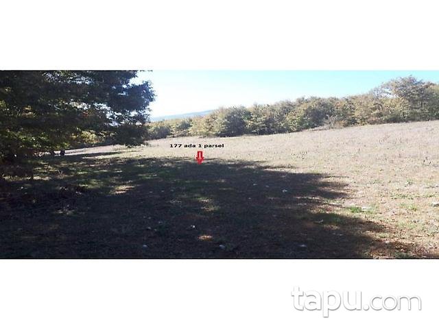 Bolu Göynük Ceylanlı Mahallesi'nde 3.900 m2 Tarla