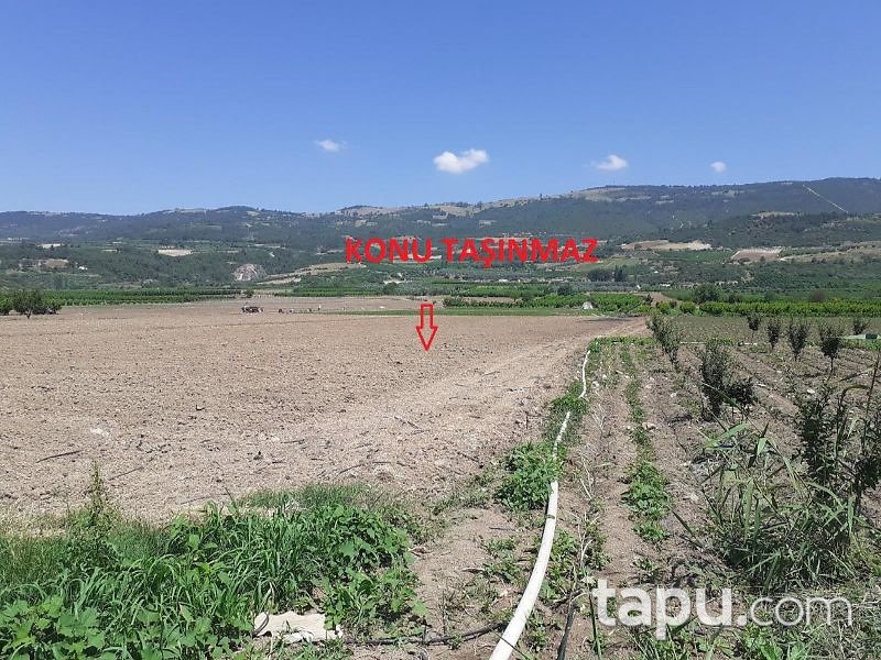 Bilecik Osmaneli Sarıyazı Mahallesi'nde 4528 m2 Bahçe