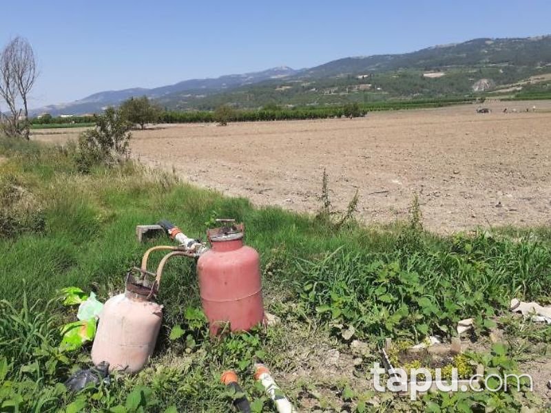 Bilecik Osmaneli Sarıyazı Mahallesi'nde 4528 m2 Bahçe