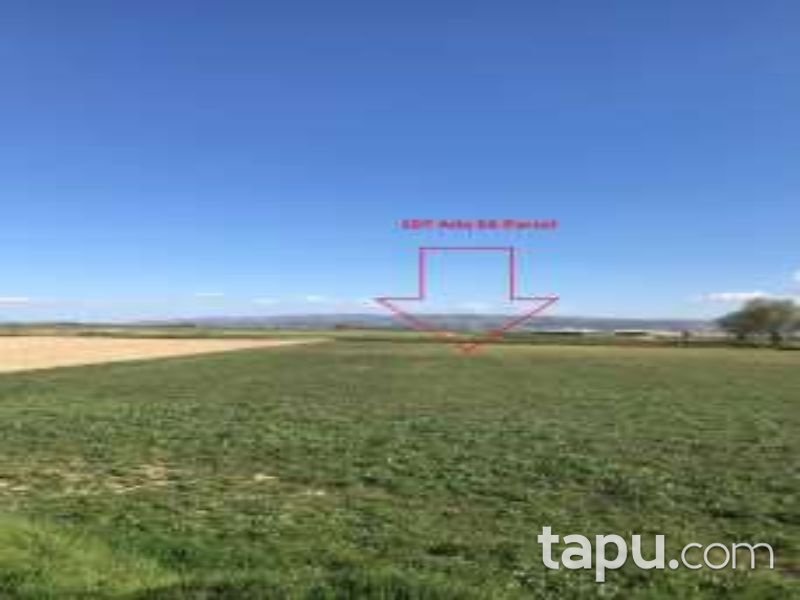 Denizli Çivril Akçaköy Mahallesi'nde 2546 m2 Tarla