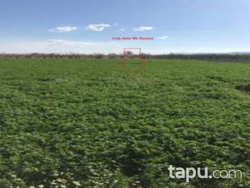 Denizli Çivril Akçaköy Mahallesi'nde 2546 m2 Tarla