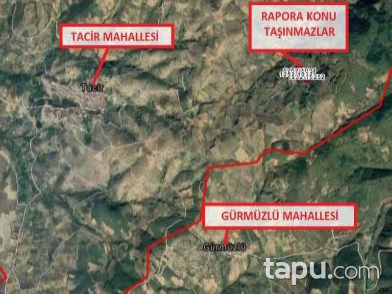 Bursa İznik Tacir Mahallesi'nde 5017 m2 Tarla