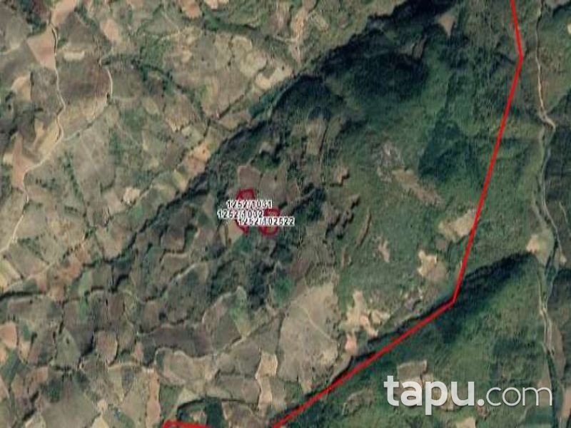 Bursa İznik Tacir Mahallesi'nde 5017 m2 Tarla