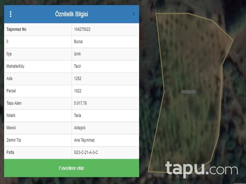 Bursa İznik Tacir Mahallesi'nde 5017 m2 Tarla