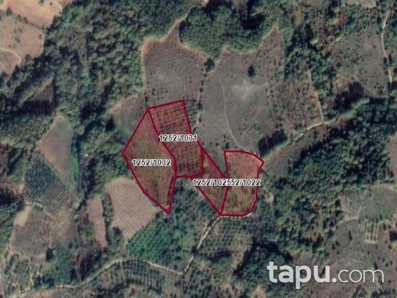 Bursa İznik Tacir Mahallesi'nde 5017 m2 Tarla