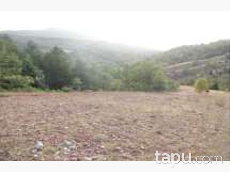 Bolu Göynük Ceylanlı'da 4201 m2 Tarla