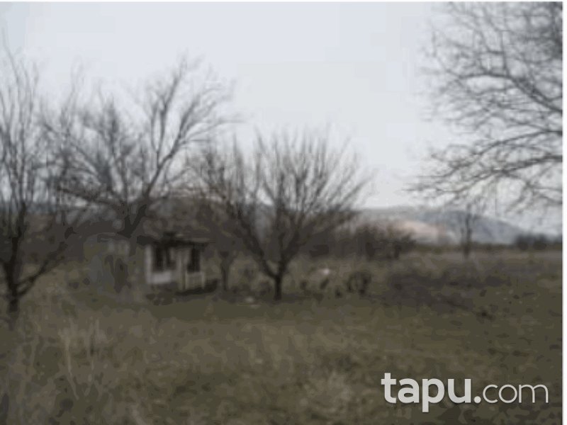 Isparta Senirkent Onaltı Haziran Mahallesi'nde 4522 m2 Bağ (1060)