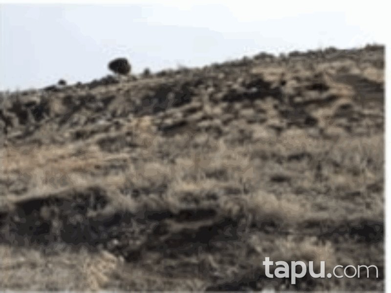 Burdur Tefenni Yuva Mahallesi'nde 3460 m2 Tarla (1213)