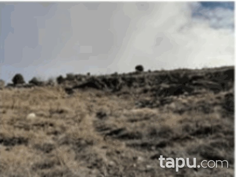 Burdur Tefenni Yuva Mahallesi'nde 2660 m2 Tarla (1214)