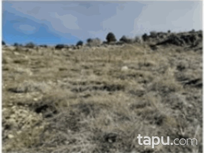 Burdur Tefenni Yuva Mahallesi'nde 2660 m2 Tarla (1214)