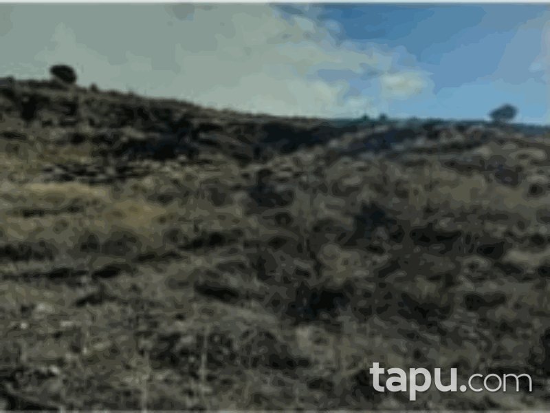 Burdur Tefenni Yuva Mahallesi'nde 2660 m2 Tarla (1214)