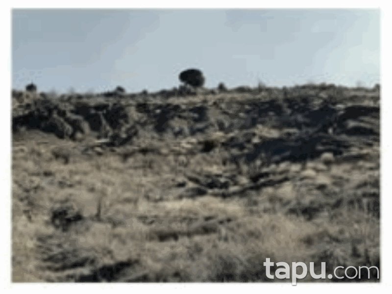 Burdur Tefenni Yuva Mahallesi'nde 2660 m2 Tarla (1214)