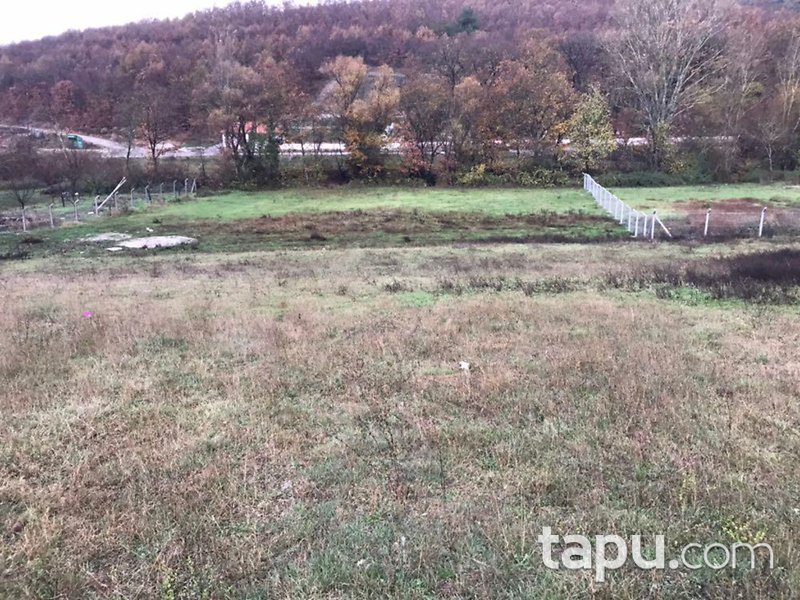 Bursa İznik Bayındır Mahallesi'nde 9621 m2 3 Adet Tarla