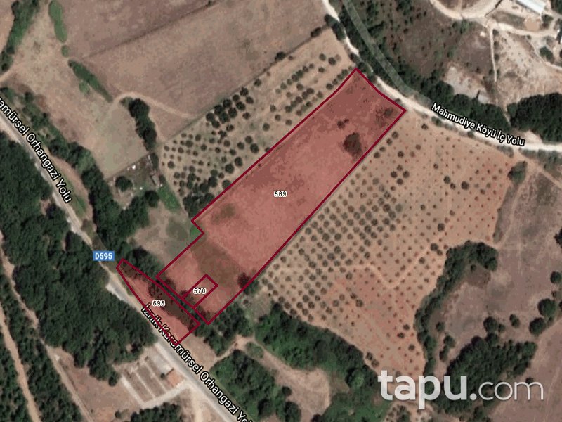 Bursa İznik Bayındır Mahallesi'nde 9621 m2 3 Adet Tarla