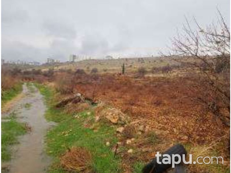 Mardin Artuklu Yalım Mahallesi'nde 4040 m2 İmarlı Arsa
