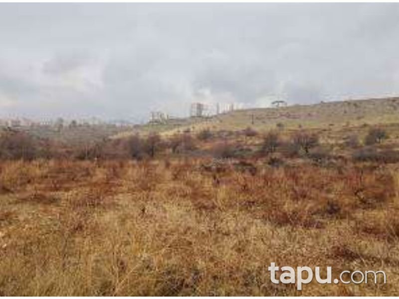 Mardin Artuklu Yalım Mahallesi'nde 4040 m2 İmarlı Arsa