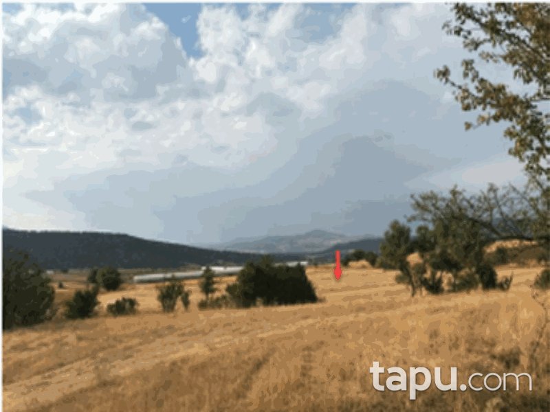 Muğla Seydikemer Doğanlar Mahallesi'nde 9153 m2 Tarla