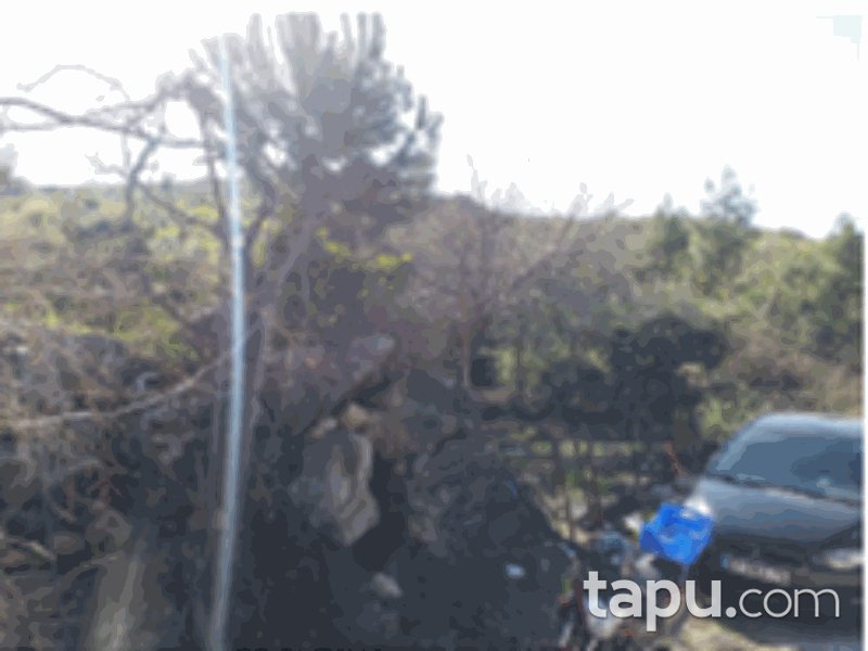 Antalya Kumluca Erentepe Mahallesi'nde 4628 m2 Tarla