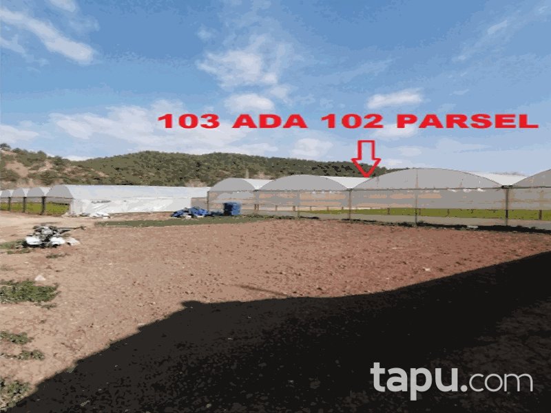 Bilecik Söğüt Çaltı/Şen Mahallesi'nde 6640 m2 Bahçe